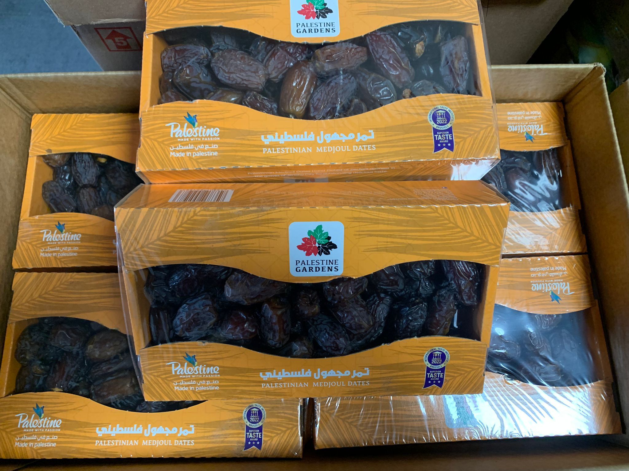 Palestinian Medjool Dates Wholesale